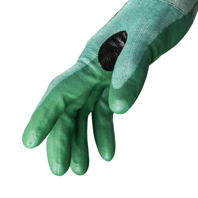 HexArmor Helix® 3050 Abrasion Resistant Gloves - A6 Cut (12-Pack)